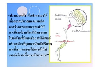 F F                            F
            ก                         กก
    F                                          F
                F ก F                              ก
        F                 F                F               F
            F      ก              F
            ก                 ก        F           F
F
 