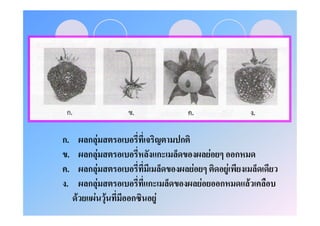 ก.        ก   F                               ก
  .       ก           F                   ก               F           ก
 .        ก       F                               F               F
 .        ก               F       ก                   F       ก           F
      F       F F             ก       F
 