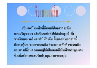 ˈ   F                          ก ก       F
ก                            F        F       F F        F
                                  F       F              ก ก
        ก   F ก         ก                     ก      ก
                         ก       F F ˈ                       ก
    F       F                                        F
 