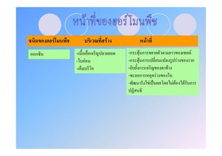 F           F               F
ก       -           -ก   F ก                                  F
        -   F       -ก    F ก                           F         ก
        -           -    ก                    F
                    -      ก              F
                    -               F ˈ           F F       F ก
 