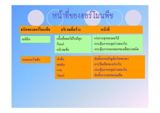 F                  F           F
        -            FกF ก   - Fก ก               F
        -   กF               -ก F ก       F
        -        F           -ก F ก      ก ก

ก   ก   - F                  -    ก
        -                    -ก   ʽ ʽ         ก
        - ก                  -ก    F ก    F
        - กF                 -    ก ก
 