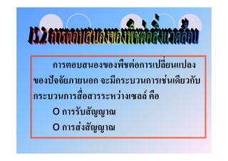 ก                  Fก
    ˆ      ก   ก            ก   F   ก
ก    ก             F        F
    oก
    oก F
 