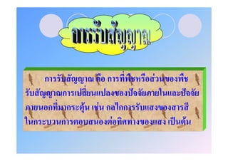 ก           ก           F
    ก                ˆ             ˆ
  ก ก   F   F ก กก
ก   ก          F             ˈ F
 