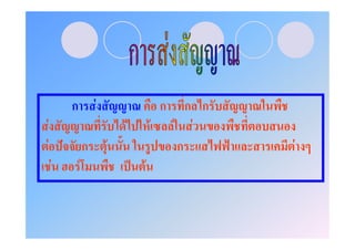 ก           F                     ก      ก ก
F                         F         F       F F
F ˆ           ก       F                      ก       ˂   F
 F        F                   ˈ F
 