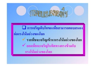 ก
F   F F         ก
      ก             F       F F         ก
                                  F ก
          F F           ก
 