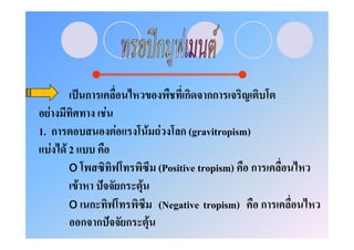 ˈ ก                                     ก    กก
  F                     F
1. ก                        F               F F      ก (gravitropism)
   F F2
      o                                         (Positive tropism)      ก
          F         ˆ           ก       F
      o ก                                       (Negative tropism)          ก
       ก ก ˆ                        ก       F
 