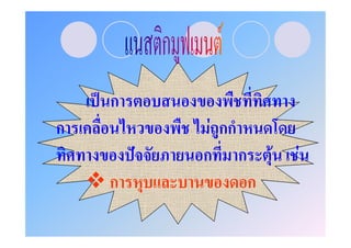 ˈ ก
ก              F กก
          ˆ   ก ก         F   F
     ก                ก
 