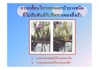 ก. ก    ก    ก
 . ก   ก    ก
 