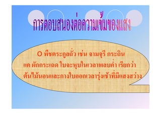 o    ก   F     ก
  กก                 กF
F F    ก   ก   F F        F
 