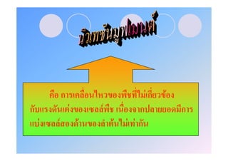 ก                          Fก   F
ก               F       F          ก            ก
    F   F           F       F   F Fก
 