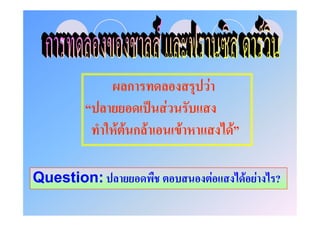 ก                 F
                     ˈ F
            F F กF         F           F

Question:                          F       F F   ?
 