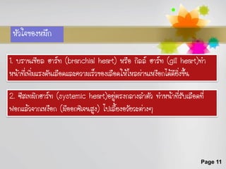 หัวใจของหมึก

1. บรานเชียล ฮาร์ท (branchial heart) หรือ กิลล์ ฮาร์ท (gill heart)ทา
หน้าที่เพิ่มแรงดันเลือดและความเร็วของเลือดให้ไหลผ่านเหงือกได้ดียิ่งขึ้น

2. ซีสเทมิกฮาร์ท (systemic heart)อยู่ตรงกลางลาตัว ทาหน้าที่รับเลือดที่
ฟอกแล้วจากเหงือก (มีออกซิเจนสูง) ไปเลี้ยงอวัยวะต่างๆ




                                                                     Page 11
 