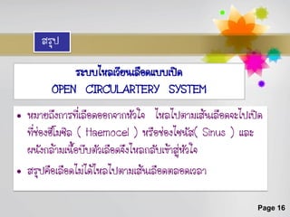 สรุป

            ระบบไหลเวียนเลือดแบบเปิด
        OPEN CIRCULARTERY SYSTEM
• หมายถึงการที่เลือดออกจากหัวใจ ไหลไปตามเส้นเลือดจะไปเปิด
  ทีช่องฮีโมซิล ( Haemocel ) หรือช่องไซนัส( Sinus ) และ
    ่
  ผนังกล้ามเนื้อบีบตัวเลือดจึงไหลกลับเข้าสู่หัวใจ
• สรุปคือเลือดไม่ได้ไหลไปตามเส้นเลือดตลอดเวลา

                                                       Page 16
 