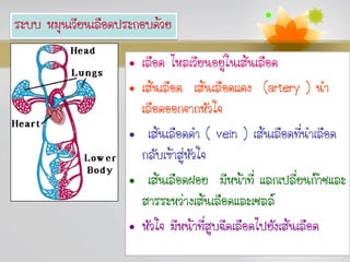 ระบบ หมุนเวียนเลือดประกอบด้วย

                     • เลือด ไหลเวียนอยู่ในเส้นเลือด
                     • เส้นเลือด เส้นเลือดแดง (artery ) นา
                       เลือดออกจากหัวใจ
                     • เส้นเลือดดา ( vein ) เส้นเลือดที่นาเลือด
                       กลับเข้าสู่หัวใจ
                     • เส้นเลือดฝอย มีหน้าที่ แลกเปลี่ยนก๊าซและ
                       สารระหว่างเส้นเลือดและเซลล์
                     • หัวใจ มีหน้าที่สูบฉีดเลือดไปยังเส้นเลือด
                                                        Page 18
 