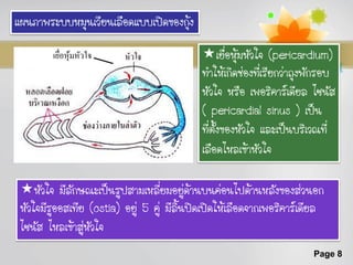 แผนภาพระบบหมุนเวียนเลือดแบบเปิดของกุ้ง

        เยือหุมหัวใจ
           ่ ้                              เยื่อหุ้มหัวใจ (pericardium)
                                            ทาให้เกิดช่องที่เรียกว่าถุงพักรอบ
                                            หัวใจ หรือ เพอริคาร์เดียล ไซนัส
                                            ( pericardial sinus ) เป็น
                                            ที่ตั้งของหัวใจ และเป็นบริเวณที่
                                            เลือดไหลเข้าหัวใจ

 หัวใจ มีลักษณะเป็นรูปสามเหลี่ยมอยู่ด้านบนค่อนไปด้านหลังของส่วนอก
 หัวใจมีรออสเทีย (ostia) อยู่ 5 คู่ มีลิ้นปิดเปิดให้เลือดจากเพอริคาร์เดียล
         ู
 ไซนัส ไหลเข้าสู่หัวใจ
                                                                       Page 8
 