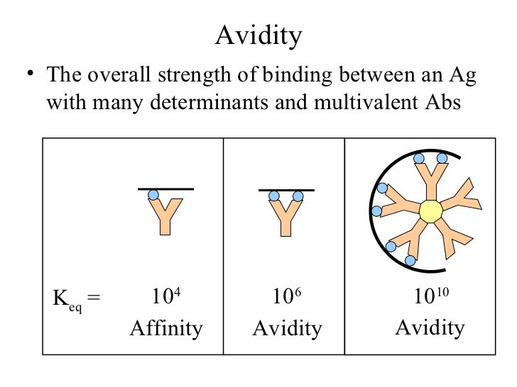 Affinity Constant Vs Avidity | Affinity Constants for Small Molecules ...