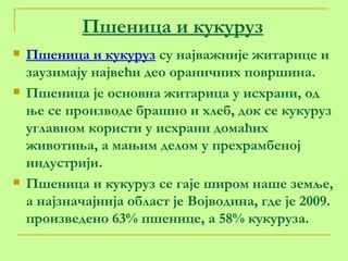 Пшеница и кукуруз Пшеница и кукуруз  су најважније житарице и заузимају највећи део ораничних површина.  Пшеница је основна житарица у исхрани, од ње се производе брашно и хлеб, док се кукуруз углавном користи у исхрани домаћих животиња, а мањим делом у прехрамбеној индустрији. Пшеница и кукуруз се гаје широм наше земље, а најзначајнија област је Војводина, где је 2009. произведено 63% пшенице, а 58% кукуруза. 