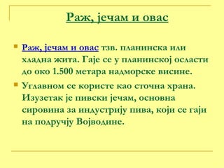 Раж, јечам и овас Раж , јечам и овас  тзв. планинска или хладна жита. Гаје се у планинској осласти до око 1.500 метара надморске висине.  Углавном се користе као сточна храна. Изузетак је пивски јечам, основна сировина за индустрију пива, који се гаји на подручју Војводине. 