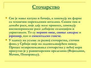 Сточарство Све је мање катуна и бачија, а замењују их фарме са технички опремљеним шталама. Самим тим и домаће расе, које дају мале приносе, замењују високоприносне расе добијене селекцијом и укрштањем. То су  мерино овце ,  свиње ландрас  и  јоркшир , као и  сименталско говече . У односу на услове за развој сточарства, сточни фонд у Србији није на задовољавајућем нивоу. Процес осавремењавања сточарства у већој мери присутан је у равничарским пределима (Војводини, Мачви, Поморављу). 