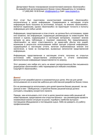 Пример Типового Бизнес Плана | PDF