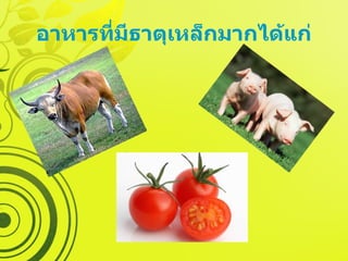 อาหารที่มีธาตุเหล็กมากได้แก่ 