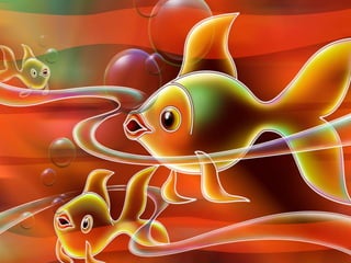 Ιστορίες της θάλασσας