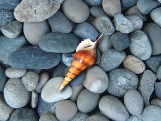 Ιστορίες της θάλασσας