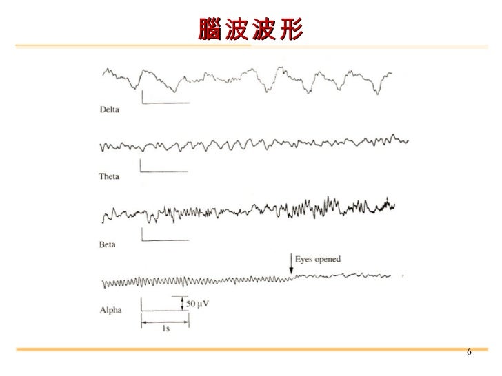 睡眠紡錘波 電機大師黃聰亮教授授課投影片 睡眠紡錘波 電機大師黃聰亮教授授課投影片