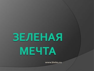 www.bieko.ru
 