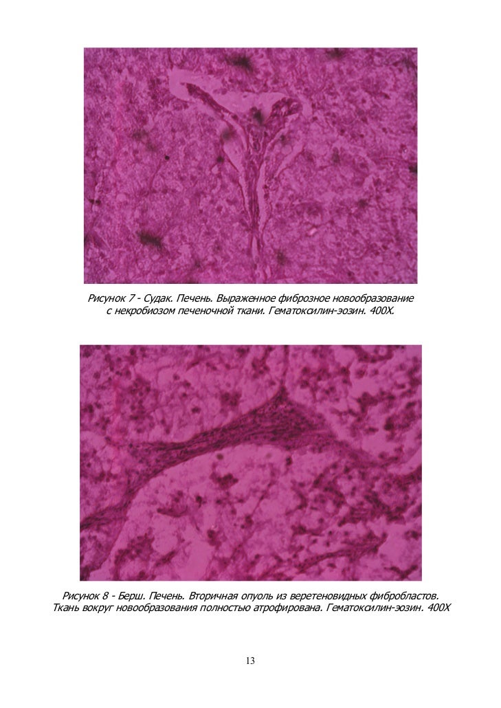 дерматофибросаркома рыб современная эпизоотическая ситуация, диагност…