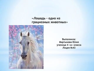 «Лошадь – одно из
грациозных животных»




                 Выполнила:
               Мартынова Юлия
             ученица 4 «а» класса
                 Лицея №43
 