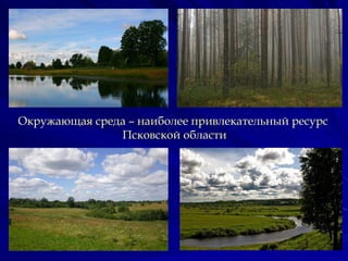 Окружающая среда – наиболее привлекательный ресурс
               Псковской области
 