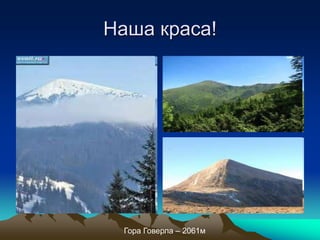 Наша краса!




 Гора Говерла – 2061м
 