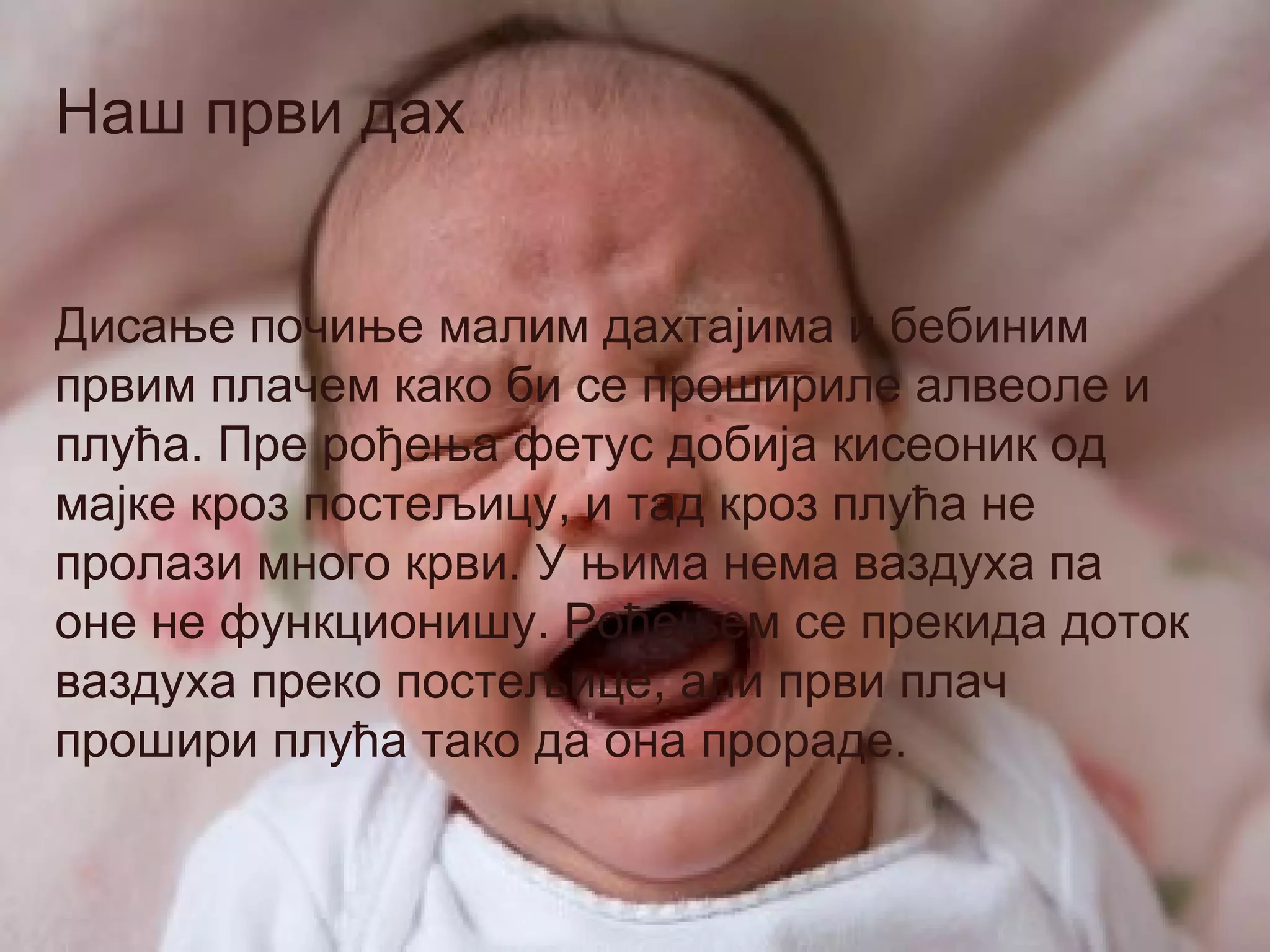 Наш први дах


Дисање почиње малим дахтајима и бебиним
првим плачем како би се прошириле алвеоле и
плућа. Пре рођења фетус добија кисеоник од
мајке кроз постељицу, и тад кроз плућа не
пролази много крви. У њима нема ваздуха па
оне не функционишу. Рођењем се прекида доток
ваздуха преко постељице, али први плач
прошири плућа тако да она прораде.
 