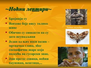 ~Ноћни лептири~
   Бројнији су
   Њихове боје нису толико
    живе                        Ноћни пауновац

   Обично су сивкасти па су
    зато неупадљиви
   Један од њих носи назив –
    мртвачка глава, због
    специфичне шаре која
    подсећа на гусарски знак.
   Још врста: совица, ноћни
    пауновац, вештица,...
 