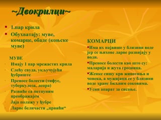 ~Двокрилци~
   1.пар крила
   Обухватају: муве,
    комарце, обаде (коњске        КОМАРЦИ
    муве)                         Има их највише у близини воде
                                  јер се њихове ларве развијају у
    МУВЕ                          води.
                                  Преносе болести као што су:
-   Имају 1 пар мрежастих крила
-   Слећу свуда, укључујући       маларија и жута грозница.
                                  Женке сишу крв животиња и
    ђубриште
-   Преносе болести (тифус,       човека, а мужијаци се у близини
    туберкулоза, лепра)           воде хране биљним соковима.
                                  Усни апарат за сисање.
-   Развиће са потпуним
    преображајем
-   Јаја полажу у ђубре
-   Ларве беличасти „црвићи“
 