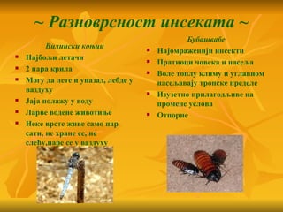 ~ Разноврсност инсеката ~
                                                 Бубашвабе
          Вилински коњци                Најомраженији инсекти
   Најбољи летачи                      Пратиоци човека и насеља
   2 пара крила                        Воле топлу климу и углавном
   Могу да лете и уназад, лебде у       насељавају тропске пределе
    ваздуху                             Изузетно прилагодљиве на
   Јаја полажу у воду                   промене услова
   Ларве водене животиње               Отпорне
   Неке врсте живе само пар
    сати, не хране се, не
    слећу,паре се у ваздуху
 