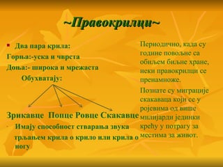 ~Правокрилци~
 Два пара крила:                   Периодично, када су
                                    године повољне са
Горња:-уска и чврста
                                    обиљем биљне хране,
Доња:- широка и мрежаста            неки правокрилци се
   Обухватају:                      пренамноже.
                                    Познате су миграције
                                    скакаваца који се у
                                    ројевима од више
Зрикавце Попце Ровце Скакавце милијарди јединки
- Имају способност стварања звука крећу у потрагу за
  трљањем крила о крило или крила о местима за живот.
  ногу
 