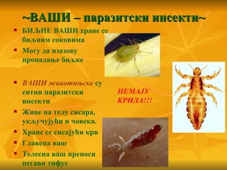 ~ВАШИ – паразитски инсекти~
   БИЉНЕ ВАШИ хране се
    биљним соковима
   Могу да изазову
    пропадање биљке

   ВАШИ животињске су
    ситни паразитски        НЕМАЈУ
    инсекти                 КРИЛА!!!
   Живе на телу сисара,
    укључујући и човека.
   Хране се сисајући крв
   Главена ваш
   Телесна ваш преноси
    пегави тифус
 
