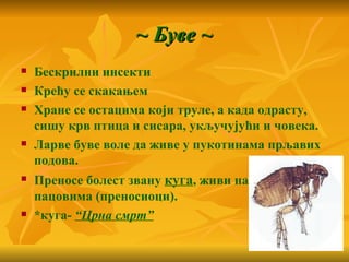 ~ Буве ~
   Бескрилни инсекти
   Крећу се скакањем
   Хране се остацима који труле, а када одрасту,
    сишу крв птица и сисара, укључујући и човека.
   Ларве буве воле да живе у пукотинама прљавих
    подова.
   Преносе болест звану куга, живи на глодарима,
    пацовима (преносиоци).
   *куга- “Црна смрт”
 