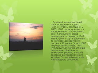 Сучасний дендрологічний
парк складається з двох
частин: старої, закладеної у
1885-1902 роках та нової - з
насадженнями 20-30-річного
віку. Колекційний фонд
дендропарку становить 1647
видів, форм і сортів деревних
та квітково-декоративних
рослин з 56 родин (з них 1087
інтродукованих видів). Тут
культивується майже 90 видів
реліктових, рідкісних та
зникаючих рослин, з них 68
занесено до Червоної книги
України, 3 - перебувають під
міжнародною охороною.
 