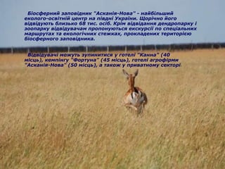 Біосферний заповідник "Асканія-Нова" - найбільший
еколого-освітній центр на півдні України. Щорічно його
відвідують близько 68 тис. осіб. Крім відвідання дендропарку і
зоопарку відвідувачам пропонуються екскурсії по спеціальних
маршрутах та екологічних стежках, прокладених територією
біосферного заповідника.


 Відвідувачі можуть зупинитися у готелі "Канна" (40
місць), кемпінгу "Фортуна" (45 місць), готелі агрофірми
"Асканія-Нова" (50 місць), а також у приватному секторі.
 
