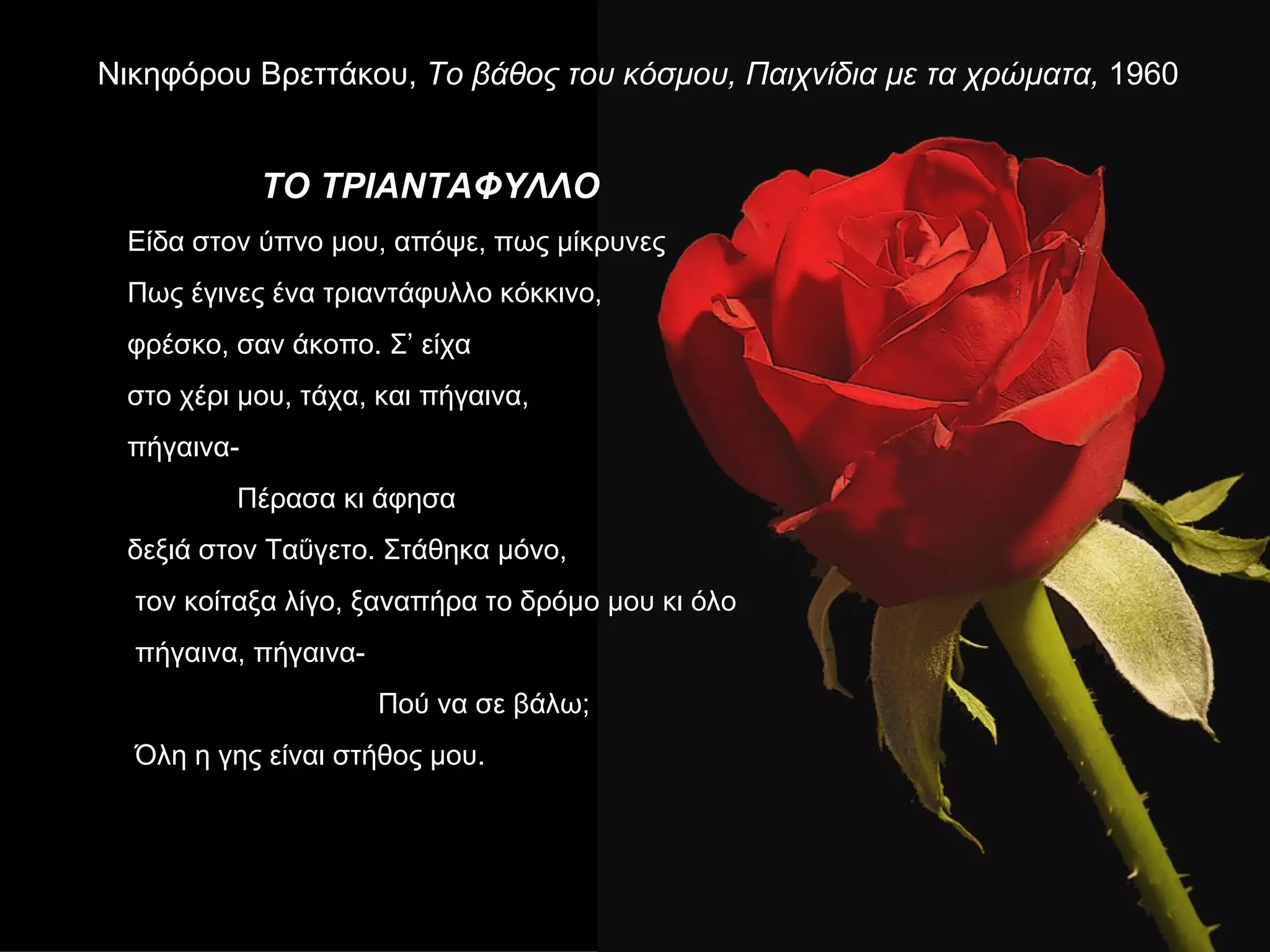 Νικηφόρου Βρεττάκου, Το βάθος του κόσμου, Παιχνίδια με τα χρώματα, 1960


            ΤΟ ΤΡΙΑΝΤΑΦΥΛΛΟ
 Είδα στον ύπνο μου, απόψε, πως μίκρυνες
 Πως έγινες ένα τριαντάφυλλο κόκκινο,
 φρέσκο, σαν άκοπο. Σ’ είχα
 στο χέρι μου, τάχα, και πήγαινα,
 πήγαινα-
         Πέρασα κι άφησα
 δεξιά στον Ταΰγετο. Στάθηκα μόνο,
  τον κοίταξα λίγο, ξαναπήρα το δρόμο μου κι όλο
  πήγαινα, πήγαινα-
                      Πού να σε βάλω;
  Όλη η γης είναι στήθος μου.
 