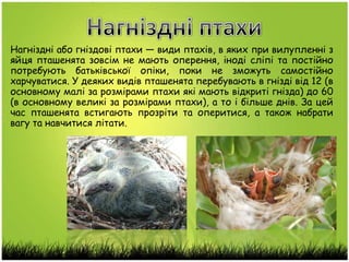 Прийміть мої віншування малі та великі