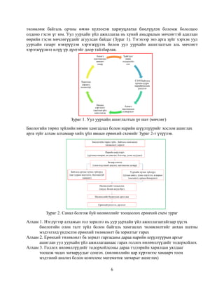 эссэ бямбахүү | PDF