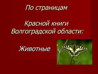 По страницам

    Красной книги
Волгоградской области:

  Животные
 