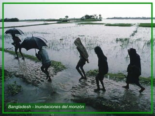 Bangladesh - Inundaciones del monzón
 