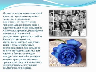 Однако для достижения этих целей
предстоит преодолеть огромные
трудности в повышении
эффективности генетической
трансформации и прежде всего в
идентификации генов, создании их
банков клонирования, расшифровке
механизмов полигенной
детерминации признаков и свойств
биологических объектов,
обеспечении высокой экспрессии
генов и создании надежных
векторных систем. Уже сегодня во
многих лабораториях мира, в том
числе и в России, с помощью
методов генетической инженерии
созданы принципиально новые
трансгенные растения, животные и
микроорганизмы, получившие
коммерческое признание.
 