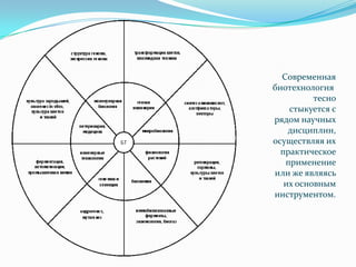 Современная
биотехнология
          тесно
    стыкуется с
рядом научных
    дисциплин,
осуществляя их
  практическое
   применение
или же являясь
   их основным
инструментом.
 