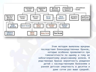 Этим методом выявлены вредные
  последствия близкородственных браков,
       которые особенно проявляются при
     гомозиготности по одному и тому же
неблагоприятному рецессивному аллелю. В
родственных браках вероятность рождения
    детей с наследственными болезнями и
  ранняя детская смертность в десятки и
           даже сотни раз выше средней.
 